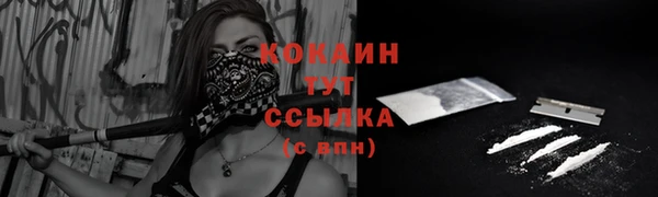 гидра Переславль-Залесский