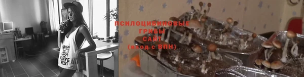 apvp Арсеньев