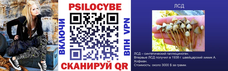 Псилоцибиновые грибы Cubensis  что такое   Петухово 